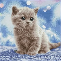 Carré Chaton dans ses bulles – Intermédiaire