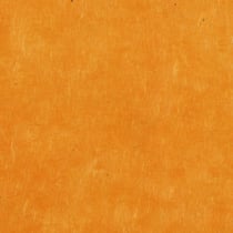 PAPERTREE 50*70 LOKTA PAPER Mango - Lot de 10 feuilles