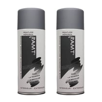 Lot de 2 sprays de peinture - gris mat - AMT