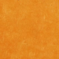 PAPERTREE 50*70 LOKTA PAPER Mango - Lot de 10 feuilles