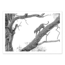 Affiche 30x40 cm - High key Leopard - 1x
