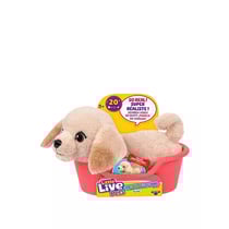 Little Live Pets Buddy le labrador