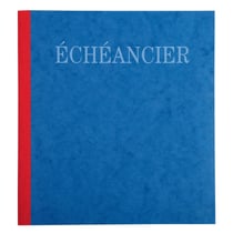 Piqûre 21x19cm échéancier tracé journal 80 pages - Couleurs assorties - x 5 - Exacompta