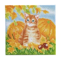 CRYSTAL ART Kit tableau broderie diamant 30x30cm Chat et citrouilles