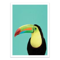 Affiche 30x40 cm - Toucan bird in blue - Gal Design