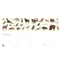 Longue vue editions - Animaux des montagnes - Carte double