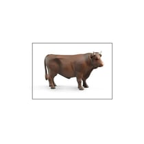 Taureau - Brun