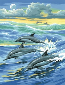 Tableau peinture au numéro Pour enfant Dauphins