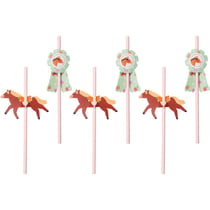 6 Pailles Mon Joli Cheval
