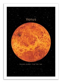 Affiche 30 x 40 cm - Venus - Terry Fan