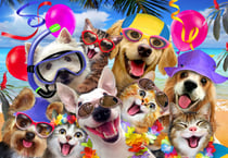 Puzzle 1000 pièces - Selfie Beach Party - Alipson Puzzle