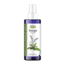 Sauge Officinale - Hydrolat