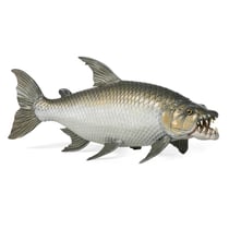 Figurine Poisson tigre goliath - Papo