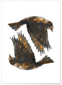 Affiche Bird | A3 : 29,7x42cm