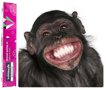 Diamond Painting Broderie Diamant LUMINLIFE 40x50cm, 100% strass, diamants ronds - Funny monkey