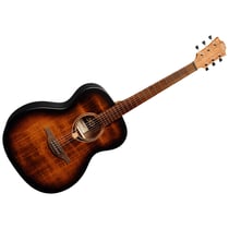 T70A-BB Tramontane Auditorium Black Brown LAG