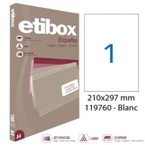 Apli 119760 x5 - Etiquettes blanches format 210 x 297 mm - Carton de 5 boites Réf.119760
