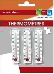Thermomètres décoratif mini mini 3 pièces