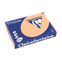 Lot de papier CLAIREFONTAINE - 5 ramettes 250 feuilles - Abricot - A4 210 x 297 mm - 120g