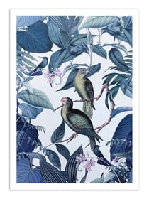 Affiche 50 x 70 cm -  Jungle Parakeet Blue - Andrea Haase