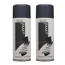 Lot de 2 sprays de peinture - ardoise - AMT