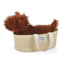 LES PETITS NOMADES - CHIEN FOX MARRON
