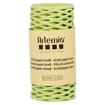 Fil de papier kraft vert anis 2mm x 25 m