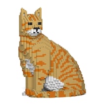 Chat Tigré roux assis | JEKCA | 14 ans et +