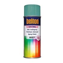 Spray de peinture Belton Spectral RAL 6027 vert clair 400ml