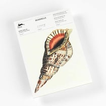 Bloc-notes - A5 - 64 feuilles papier ivoire - 120g - Avec illustrations de coquillages