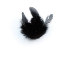 Graine Créative - Pume de coq Noir 10cm 3g