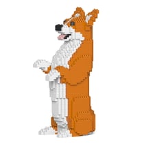 Chien Welsh Corgi debout roux Taille standard | JEKCA | 14 ans et +