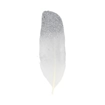 6 PLUMES ARGENTÉES - 11.5 CM