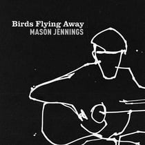 Birds Flying Away