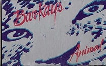 Animal