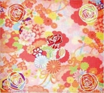 Five roses - Miracle Fortres - CD 
