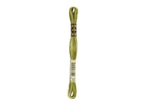 Fil à broder DMC - Mouliné spécial - Vert mousse ombré n°94
