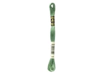 Fil à broder DMC - Mouliné spécial - Vert fougère n°320