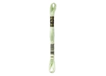 Fil à broder DMC - Mouliné spécial - Vert pousse de bambou n°369