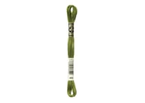 Fil à broder DMC - Mouliné spécial - Vert mousse dorée n°469