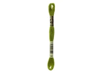 Fil à broder DMC - Mouliné spécial - Vert criquet n°581