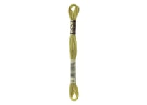 Fil à broder DMC - Mouliné spécial - Olive cassée n°734