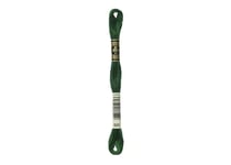 Fil à broder DMC - Mouliné spécial - Vert bouteille n°895