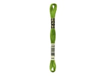 Fil à broder DMC - Mouliné spécial - Vert pomme n°906