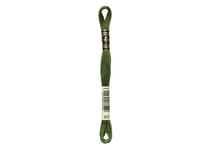 Fil à broder DMC - Mouliné spécial - Vert mousse n°937