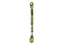 Fil à broder DMC - Mouliné spécial - Vert fenouil n°989