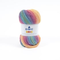 Pelote de fil à tricoter - DMC - Brio - multicolore 408