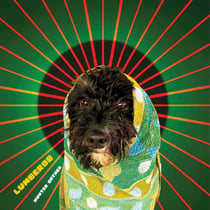 Hunter Gather - édition colorée