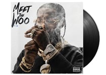 Meet the woo 2