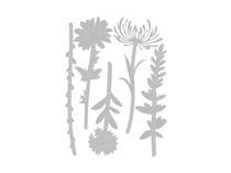 DIE FLEURS SAUVAGES2